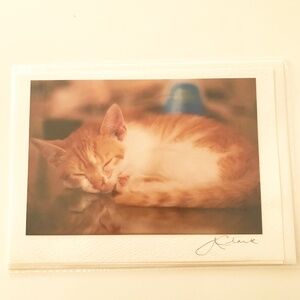 PHOTO GREETING CARDS